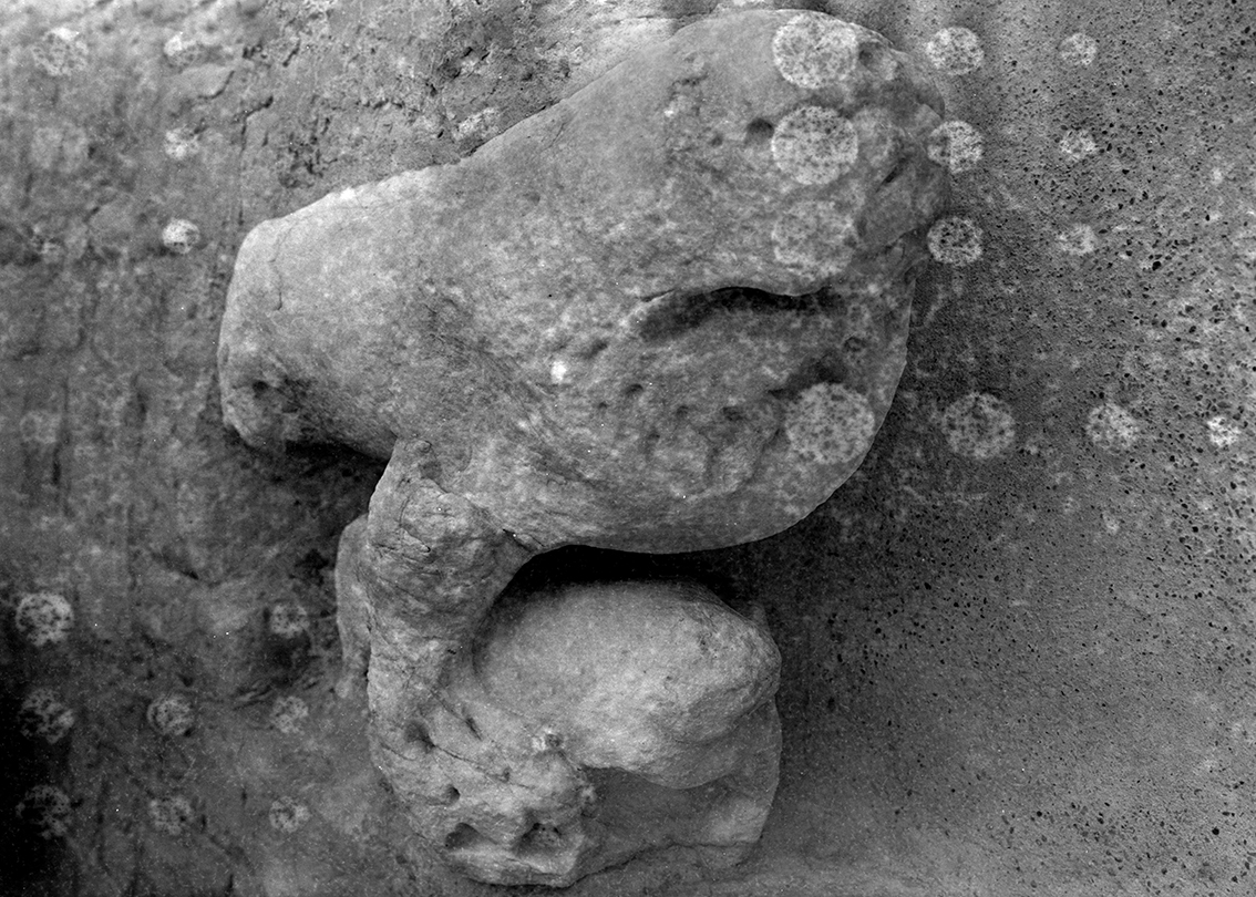 27 rue du grand couvent