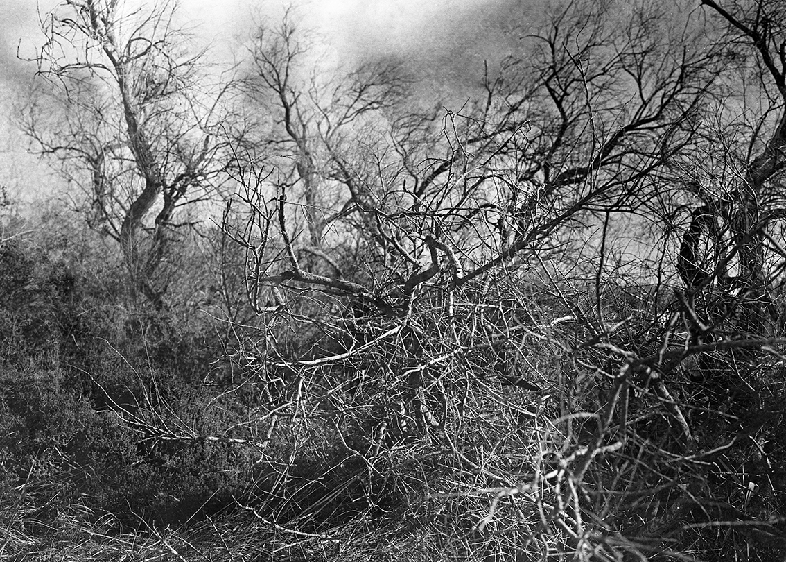 résidence lac gelé